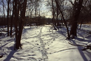 Fort_Snelling_State_Park_03