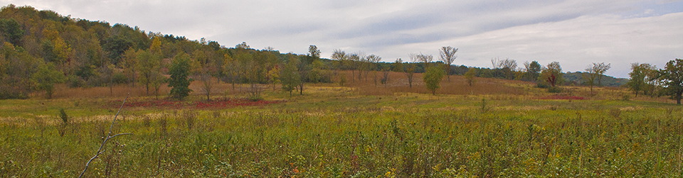 MinnesotaSeasons.com Blog